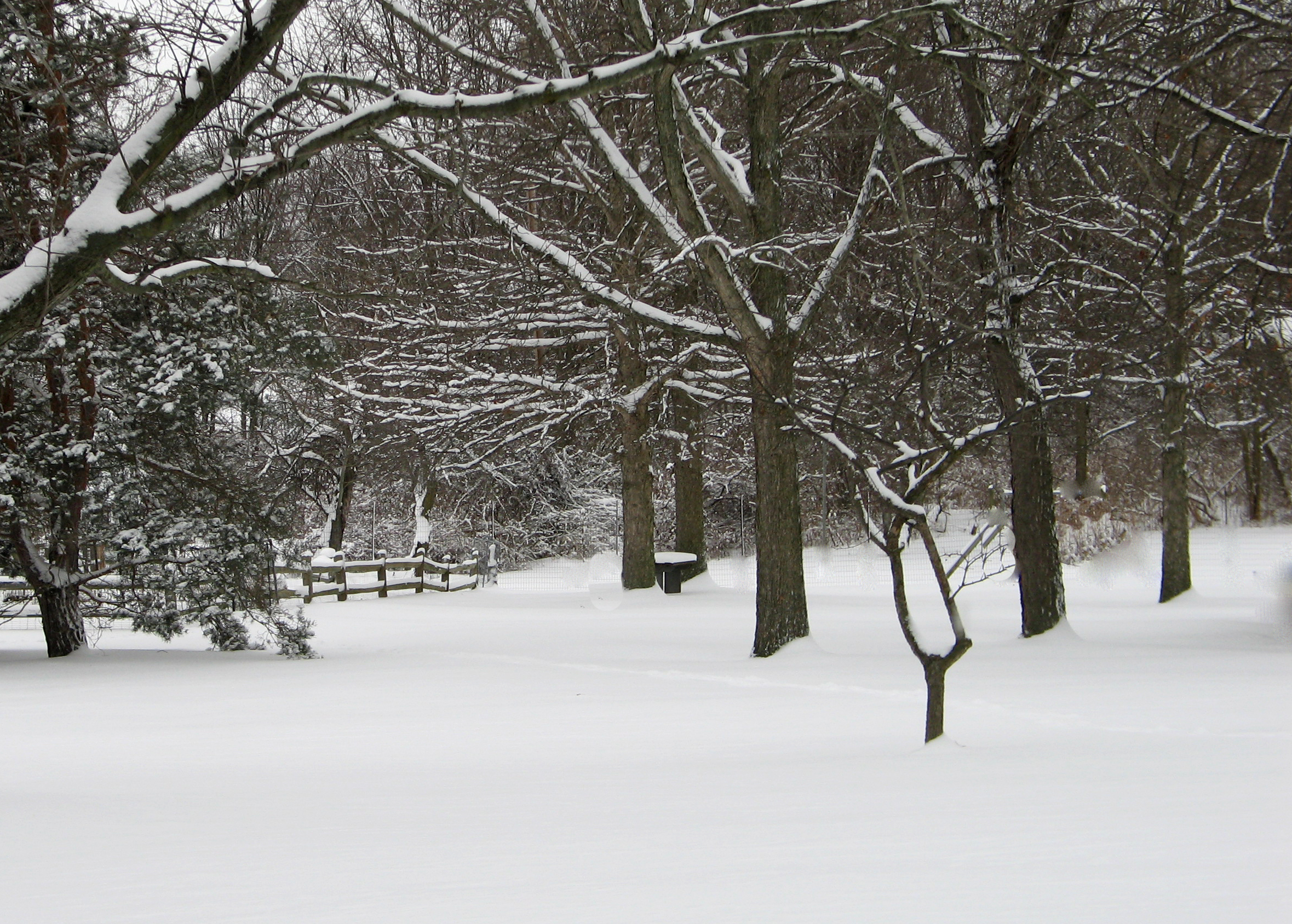Winter View